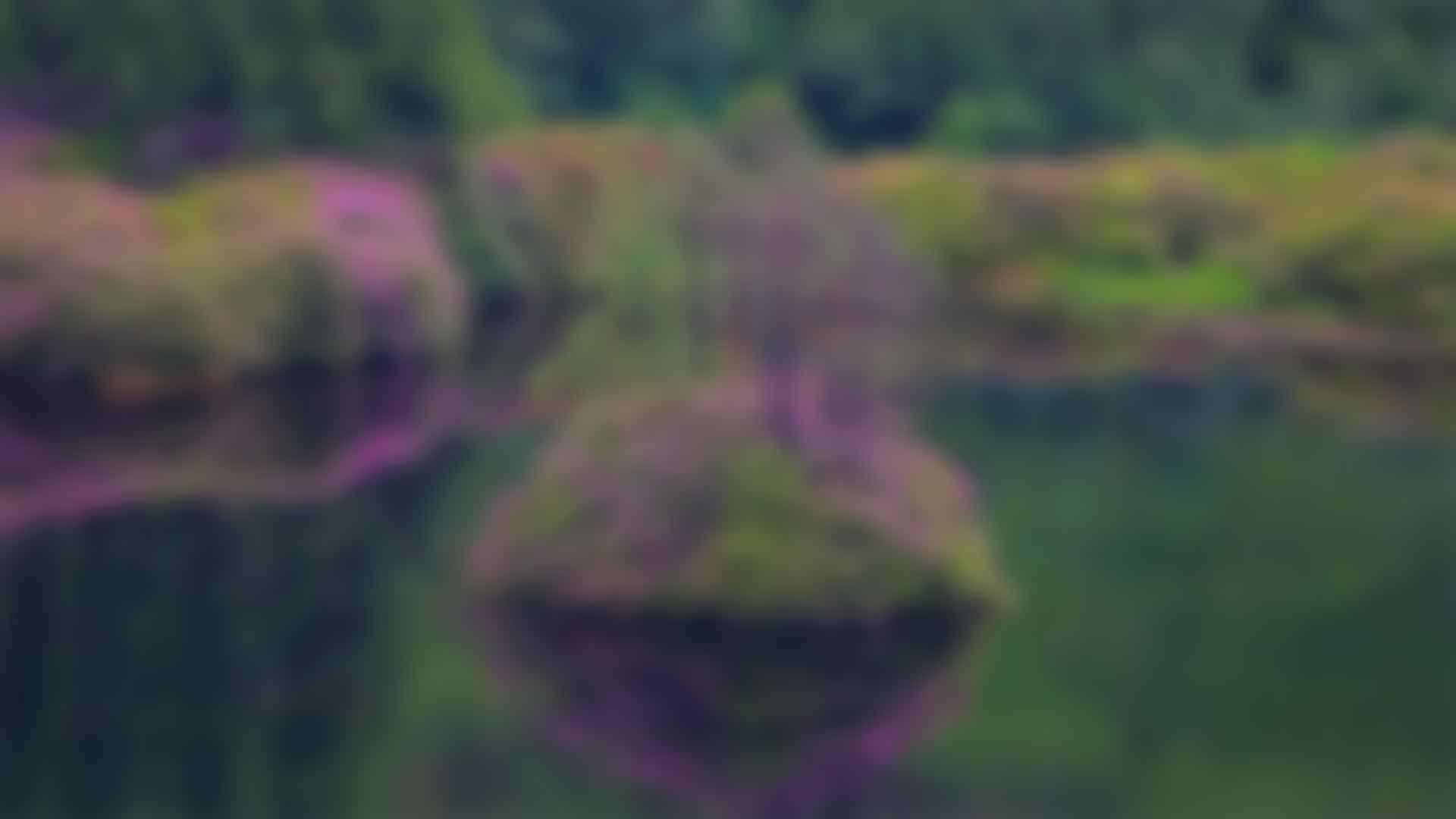健身：拥抱健康与活力的生活方式