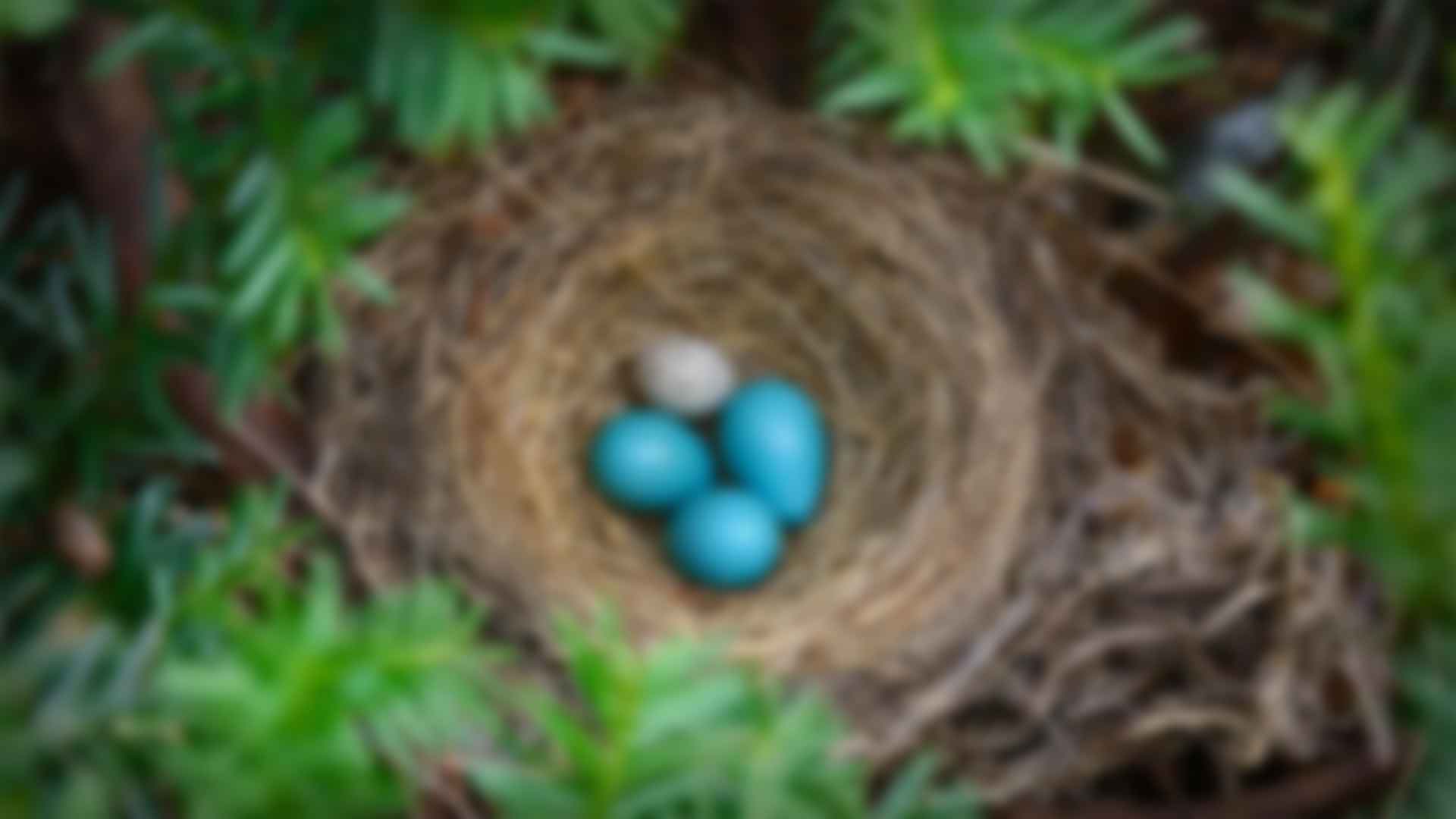 健身：拥抱健康与活力的生活方式